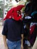 lobsterhat.jpg