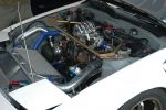 fdatl_07_pits_043.JPG