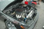 fdatl_07_pits_053.JPG